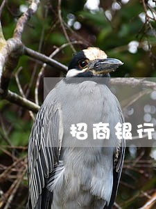 招商银行逾期会联系家人吗 招商银行逾期会联系家人吗