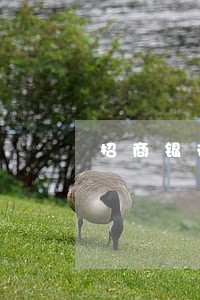 招商银行逾期停卡解冻 招商银行逾期停卡解冻