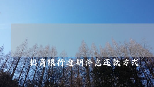 招商银行逾期停息还款方式 招商银行逾期停息还款方式