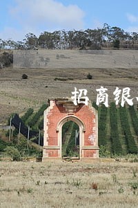 招商银行逾期几天会上门 招商银行逾期几天会上门