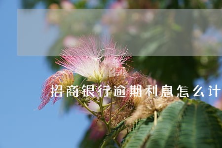 招商银行逾期利息怎么计算 招商银行逾期利息怎么计算