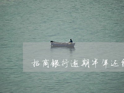 招商银行逾期半年还能协商吗 招商银行逾期半年还能协商吗
