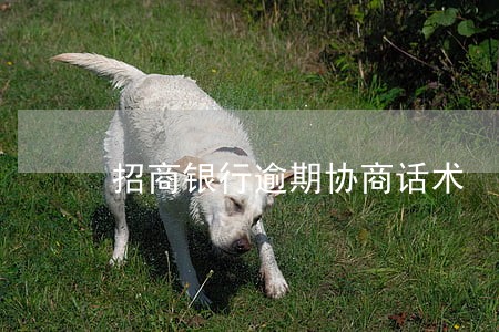 招商银行逾期协商话术 招商银行逾期协商话术