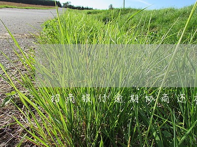 招商银行逾期协商还本金可以吗 招商银行逾期协商还本金可以吗