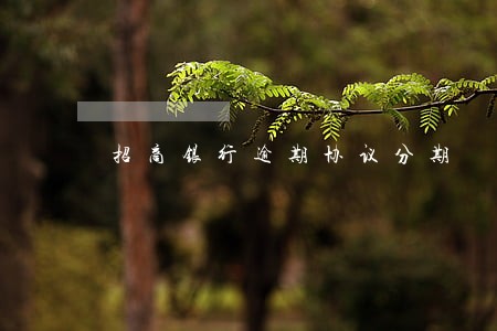 招商银行逾期协议分期 招商银行逾期协议分期