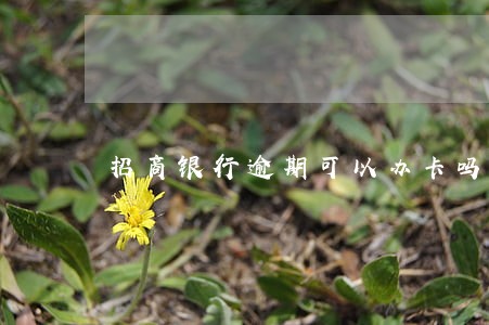 招商银行逾期可以办卡吗 招商银行逾期可以办卡吗