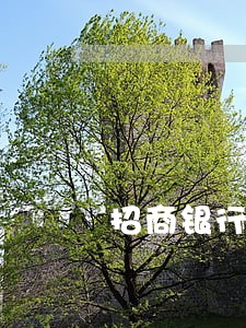 招商银行逾期后说交易受限 招商银行逾期后说交易受限