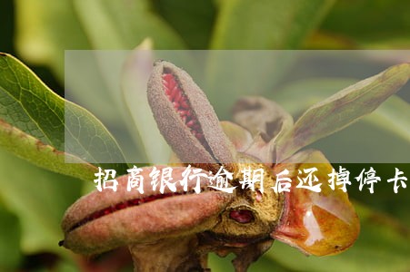 招商银行逾期后还掉停卡了 招商银行逾期后还掉停卡了