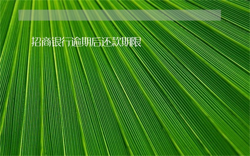 招商银行逾期后还款期限 招商银行逾期后还款期限
