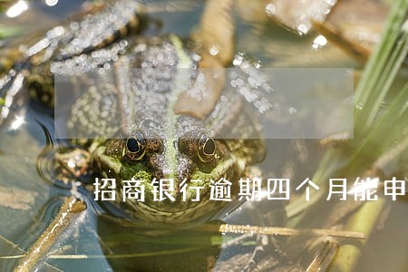 招商银行逾期四个月能申请分期 招商银行逾期四个月能申请分期