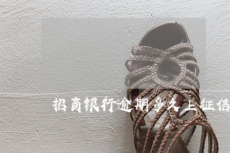 招商银行逾期多久上征信 招商银行逾期多久上征信
