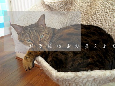 招商银行逾期多久上打电话 招商银行逾期多久上打电话