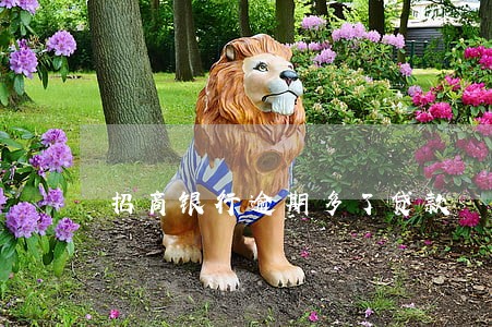 招商银行逾期多了贷款 招商银行逾期多了贷款