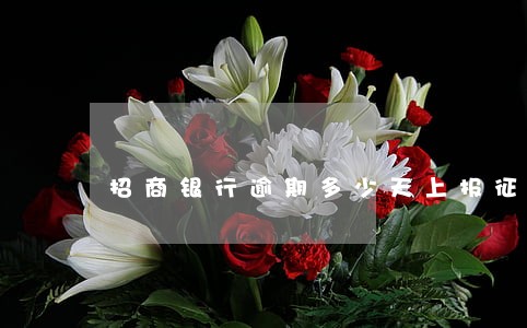 招商银行逾期多少天上报征信 招商银行逾期多少天上报征信