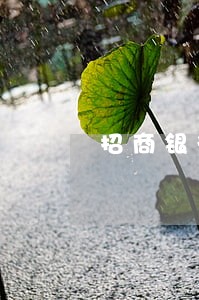 招商银行逾期多少钱会上报