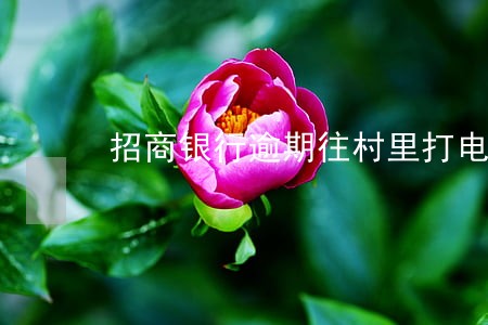 招商银行逾期往村里打电话 招商银行逾期往村里打电话