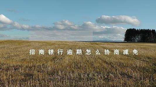 招商银行逾期怎么协商减免