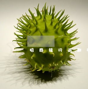 招商银行逾期手续费用 招商银行逾期手续费用