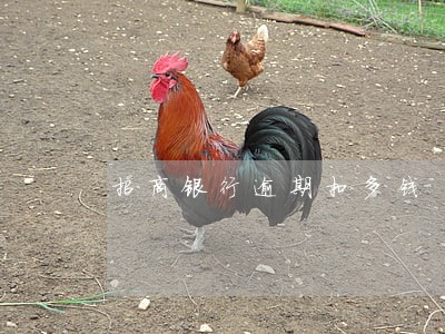 招商银行逾期扣多钱 招商银行逾期扣多钱