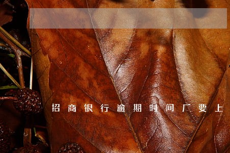 招商银行逾期时间厂要上门 招商银行逾期时间厂要上门