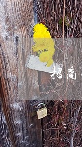 招商银行逾期最低还款变多 招商银行逾期最低还款变多