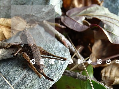 招商银行逾期未超过90天 招商银行逾期未超过90天