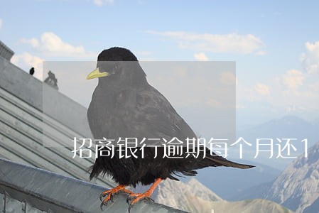 招商银行逾期每个月还100 招商银行逾期每个月还100