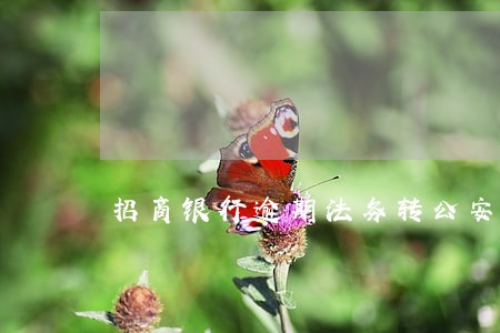 招商银行逾期法务转公安局 招商银行逾期法务转公安局