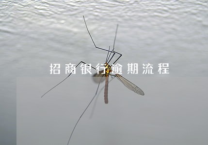 招商银行逾期流程 招商银行逾期流程