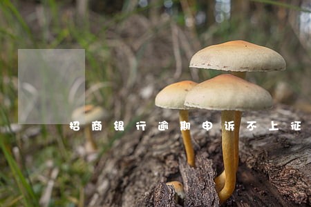 招商银行逾期申诉不上征信 招商银行逾期申诉不上征信