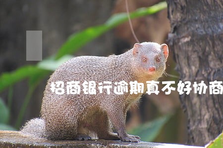 招商银行逾期真不好协商吗 招商银行逾期真不好协商吗