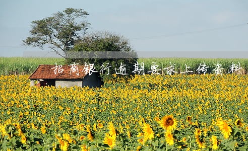 招商银行逾期要求上传资料