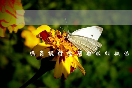 招商银行逾期要求打征信报告 招商银行逾期要求打征信报告