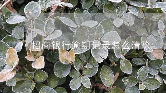 招商银行逾期记录怎么清除 招商银行逾期记录怎么清除