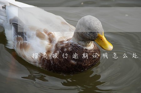招商银行逾期证明怎么处理