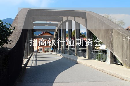 招商银行逾期资金
