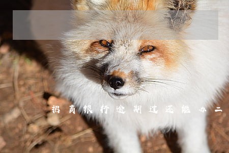 招商银行逾期过还能办二卡吗 招商银行逾期过还能办二卡吗