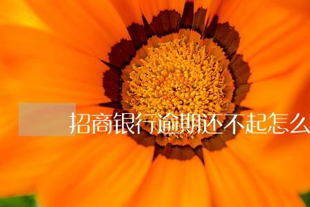 招商银行逾期还不起怎么办 招商银行逾期还不起怎么办
