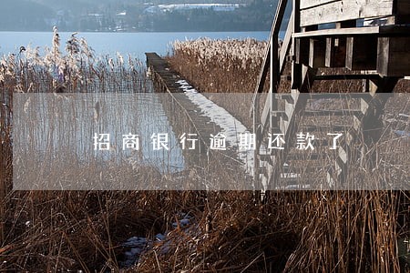 招商银行逾期还款了 招商银行逾期还款了