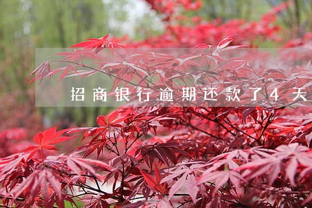 招商银行逾期还款了4天