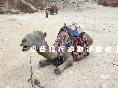 招商银行逾期还款会上征信吗 招商银行逾期还款会上征信吗
