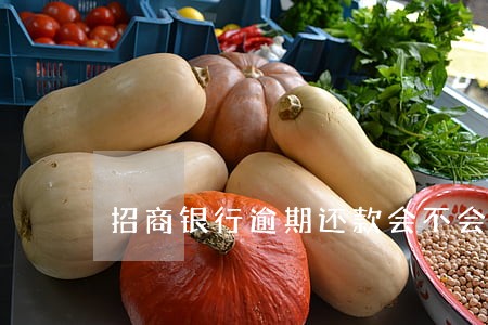 招商银行逾期还款会不会怎样 招商银行逾期还款会不会怎样