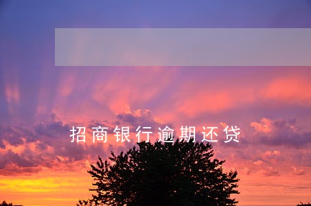 招商银行逾期还贷