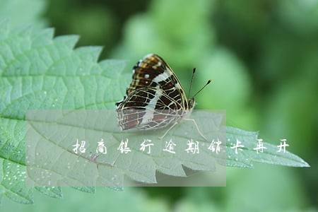 招商银行逾期销卡再开 招商银行逾期销卡再开