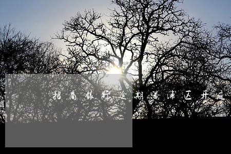 招商银行逾期黄浦区开庭短信 招商银行逾期黄浦区开庭短信