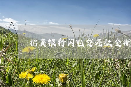 招商银行闪电贷还款逾期 招商银行闪电贷还款逾期