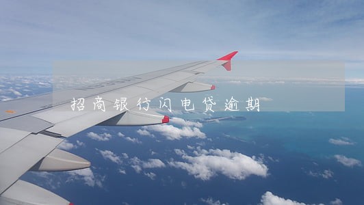 招商银行闪电贷逾期 招商银行闪电贷逾期