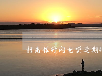 招商银行闪电贷逾期4个月 招商银行闪电贷逾期4个月