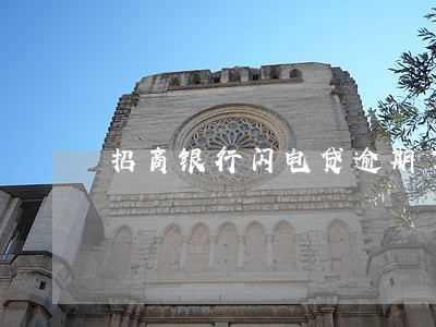 招商银行闪电贷逾期了1分钱 招商银行闪电贷逾期了1分钱