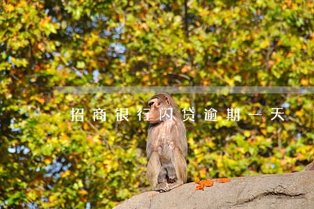 招商银行闪贷逾期一天 招商银行闪贷逾期一天